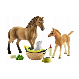 Schleich Zestaw Pielęgnacyjny Dwa Konie Pies 42432