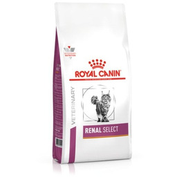 ROYAL CANIN Cat Renal Select 4 kg sucha