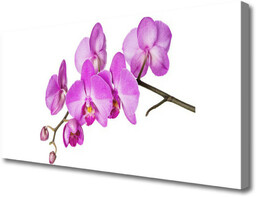 Obraz Canvas Storczyk Orchidea Kwiaty