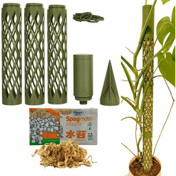 Palik Modułowy z Nawadniaczem 92cm Mech Sphagnum Besgrow