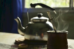 Degustacja herbaty - Kraków - Yerba Mate