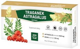 Suplement diety, Ginseng Poland Traganek Astragalus 10 X