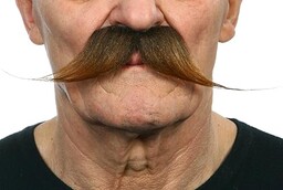 Żywe kostiumy 203901 wąsy, wielokolorowe, jeden rozmiar