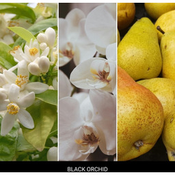 Mr&Mrs Fragrance Odświeżacz do samochodu Niki Black Orchid