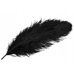 PIÓRO DEKORACYJNE STRUSIE czarne 60cm