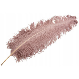 PIÓRO STRUSIE do wazonu PUDROWY RÓŻ 60cm