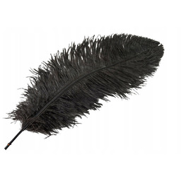 PIÓRO STRUSIE do wazonów stroików CIEMNY BRĄZ 60cm