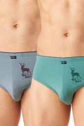 Slipy męskie bawełniane (2 pack) w stonowanej kolorystyce