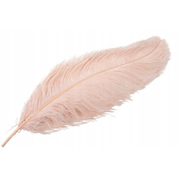 PIÓRO STRUSIE dekoracyjne PUDROWO RÓŻOWE 60cm