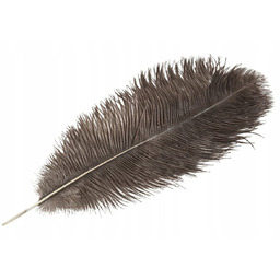 PIÓRO STRUSIE dekoracyjne NATURALNY SZARY 45cm