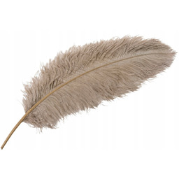 PIÓRO STRUSIE do wazonu BEŻOWE 60cm