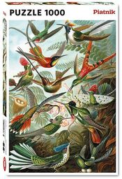 Puzzle Haeckel, Kolibry Piatnik