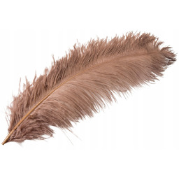 PIÓRO STRUSIE dekoracyjne KOLOR NUGATOWY 60cm