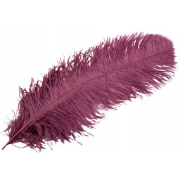 PIÓRO STRUSIE dekoracyjne FIOLETOWE 60cm