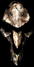 Overwatch - Reaper - plakat Wymiar do wyboru: