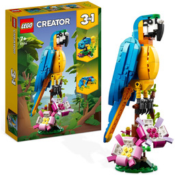 LEGO Creator 3 w 1 Egzotyczna papuga, Figurki