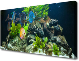 Obraz Canvas Ryba Akwarium Natura