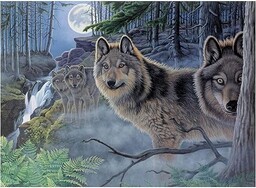 Royal & Langnickel - Painting by Numbers "Wilki",