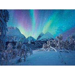 Erwachsenenpuzzle Power of Nature 1500 Teile - Wenn