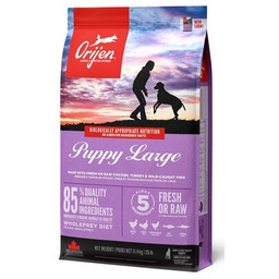 ORIJEN Karma dla psa Puppy Large Kurczak