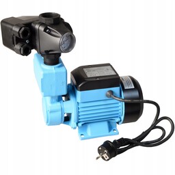 Pompa Do Wody Hydroforowa Wzp 250 250W Zintegrowany