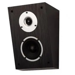 Wilson Raptor X Czarny 2szt. Kolumny efektowe Dolby