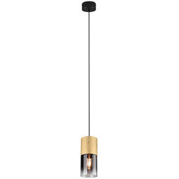 Lampa wisząca nowoczesna ROBIN 310600154 - Trio