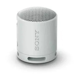 Sony SRS-XB100 5W Szary Głośnik Bluetooth