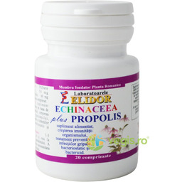 Echinacea + Propolis na odporność 20 kpr