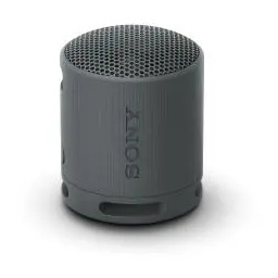 Sony SRS-XB100 5W Czarny Głośnik Bluetooth