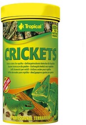 Tropical Crickets 100ml