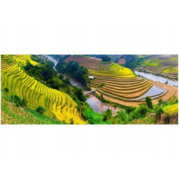 100x40cm Tarasowe pola ryżowe obraz dekoracja ścienna podobrazie