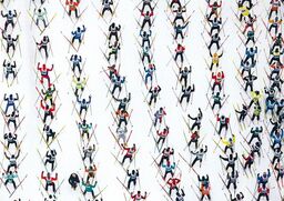 Puzzle Bieg Wazów 1000el. Piatnik