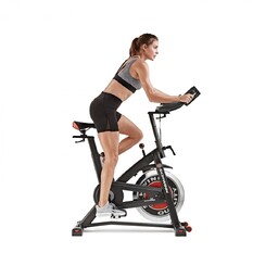 Schwinn Rower Spinningowy Ic7