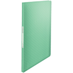Album ofertowy Esselte Colour''Ice, z 60 koszulkami, zielony
