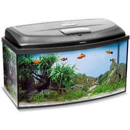 AQUAEL Zestaw Akwarystyczny Classic Box 80/O DN