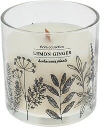 Świeczka zapachowa Flora Collection, Lemon Ginger, 10 x