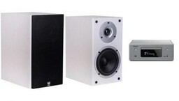 DENON CEOL N-10g + WILSON RAPTOR 1 białe