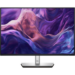 Dell P2425E - 100Hz WUXGA 24'' IPS 5ms