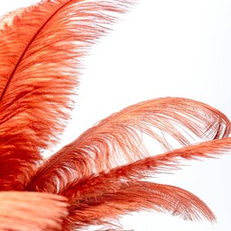 KARE Feather Palm lampa stołowa z piórami, rdza