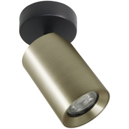 ZUMA LINE Reflektor TORE TLS006-GLD oprawa w kolorze