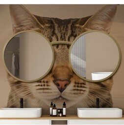 Zestaw luster okrągłych kot w okularach mdf -