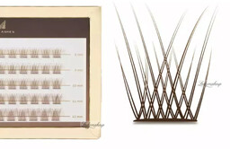 Many Beauty - Many Lashes - Mini Box