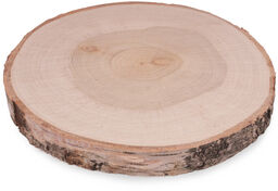 ČistéDřevo Podkładka drewniana z pnia brzozy 24 28