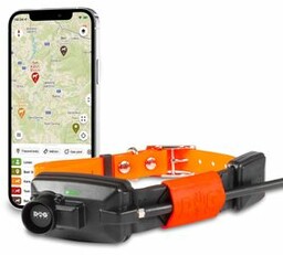 Krótszy nadajnik dla kolejnego psa - DOG GPS