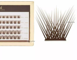 Many Beauty - Many Lashes - Mini Box