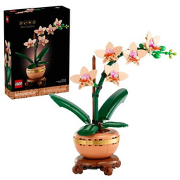 LEGO ICONS 10343 Botanicals - Mała orchidea
