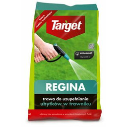 Nasiona traw do uzupełniania ubytków w trawniku Regina