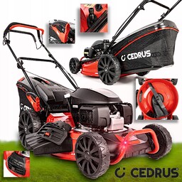 Kosiarka Spalinowa GCV200 Honda CEDKS53H Cedrus KS53 S