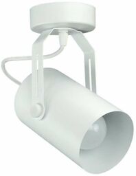 sufitowa Cleo LAMPA regulowana 137623613202 TEAM metalowa OPRAWA